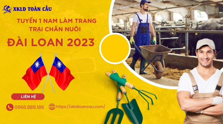 Xuất khẩu lao động Đài Loan- Tuyển 1 nam làm trang trại chăn nuôi tại Đài Nam 2023