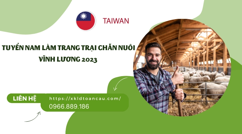 Xuất khẩu lao động Đài Loan - Tuyển nam làm trang trại chăn nuôi vĩnh lương 2023